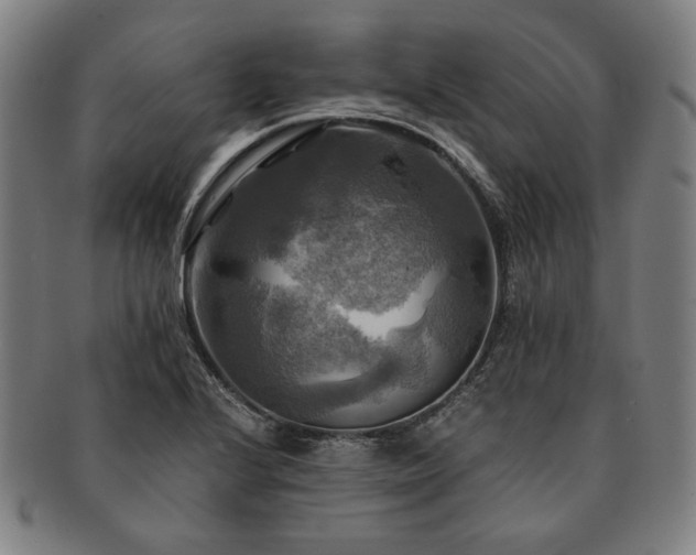 X0000091481224200708231353