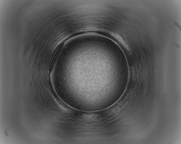 X0000091481225200708231353