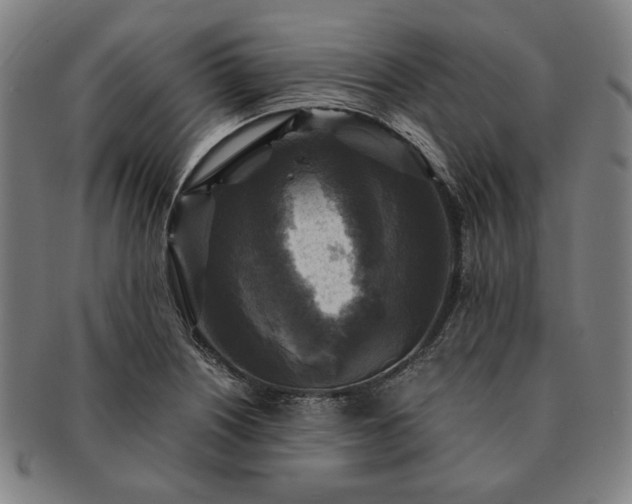 X0000091481226200708231353