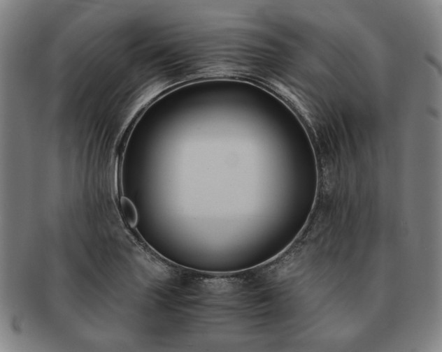 X0000091481227200708231353