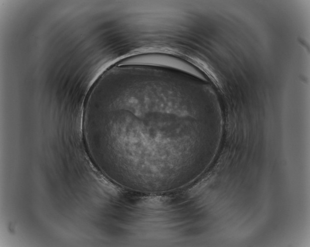 X0000091481228200708231353