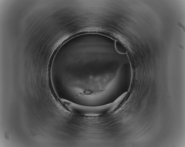 X0000091481229200708231353