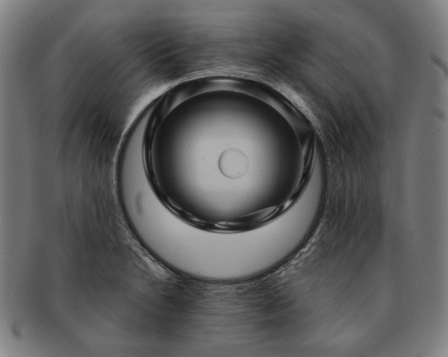 X0000091481230200708231353