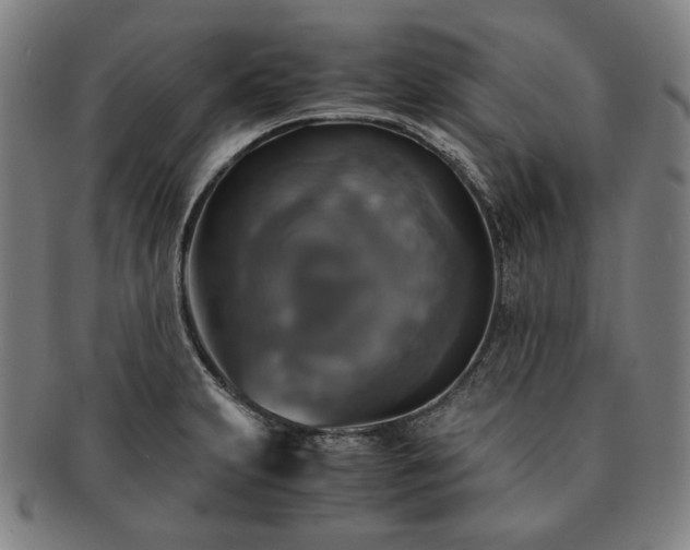 X0000091481231200708231353