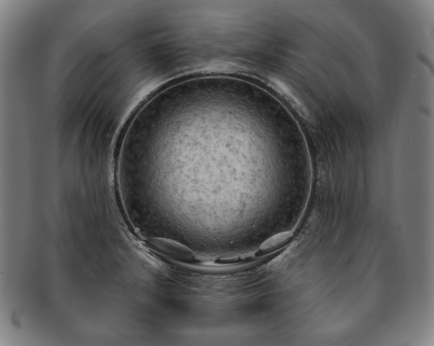 X0000091481232200708231353