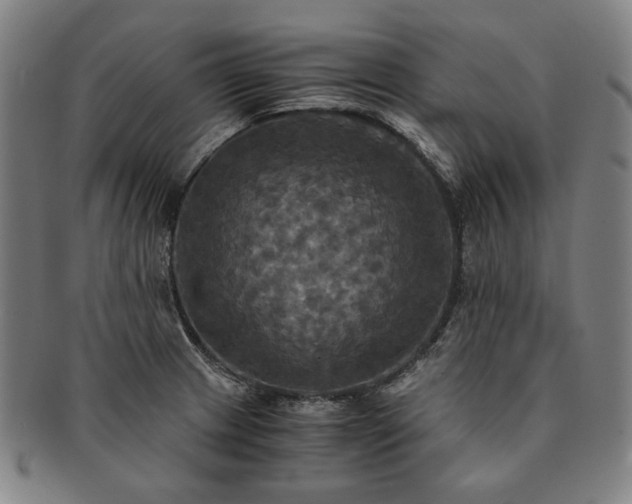 X0000091481233200708231353