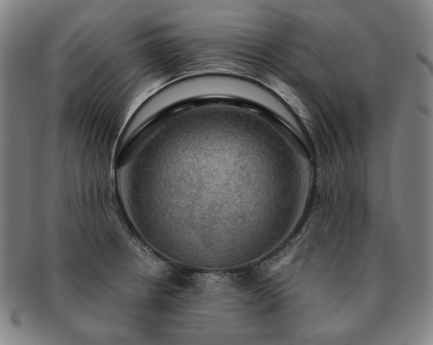 X0000091481234200708231353