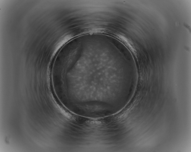 X0000091481235200708231353