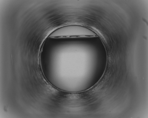 X0000091481236200708231353