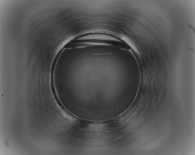 X0000091481237200708231353