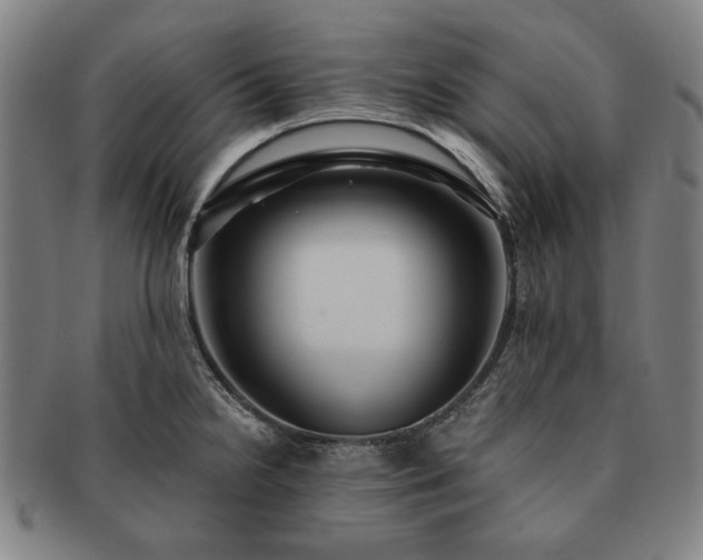 X0000091481238200708231353