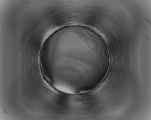 X0000091481239200708231353