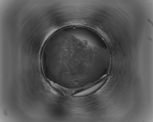 X0000091481240200708231353