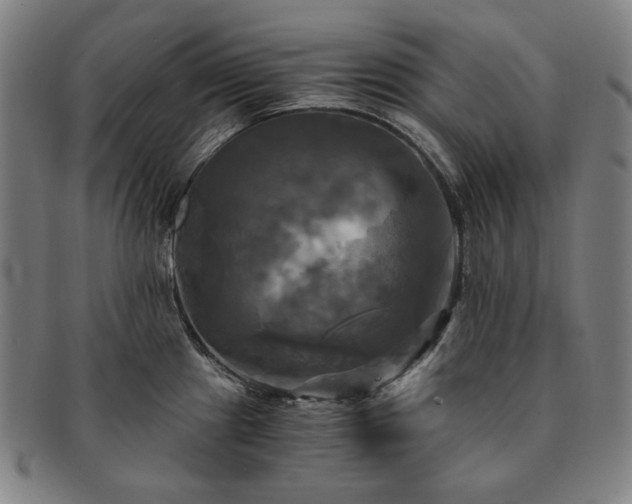 X0000091481241200708231353