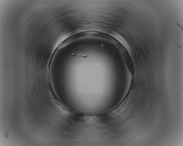 X0000091481242200708231353