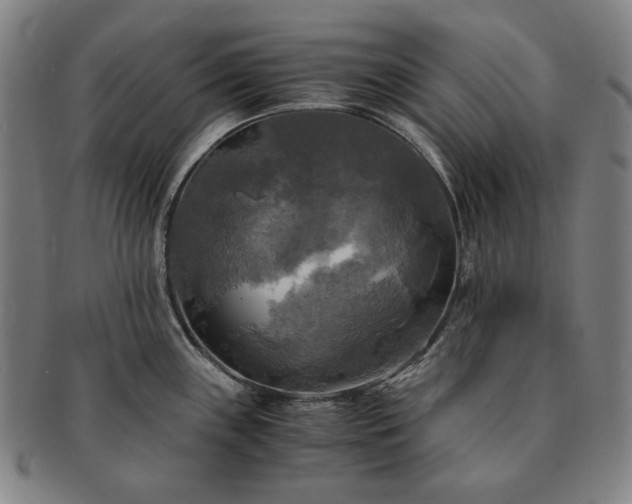 X0000091481243200708231353