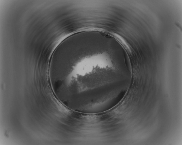 X0000091481244200708231353