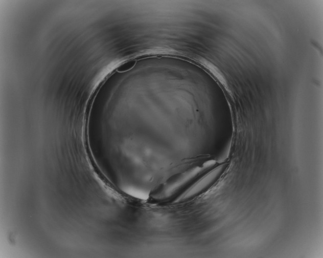 X0000091481245200708231353