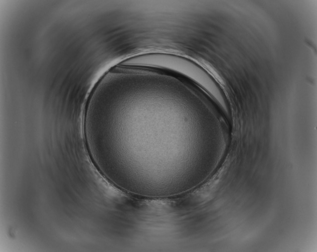 X0000091481246200708231353