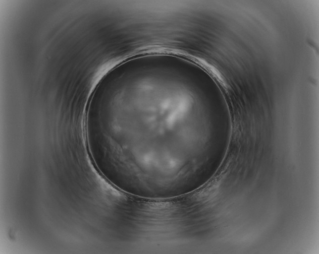 X0000091481247200708231353