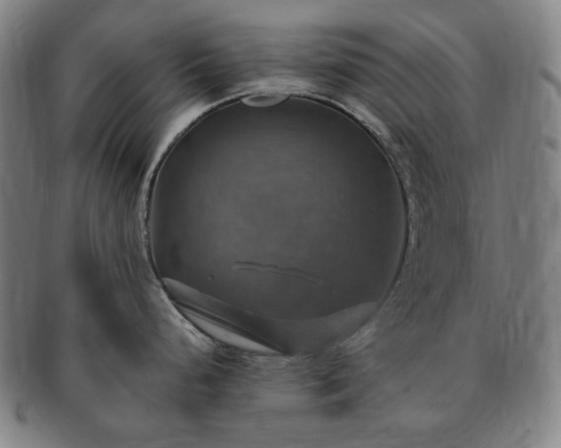 X0000091481248200708231353