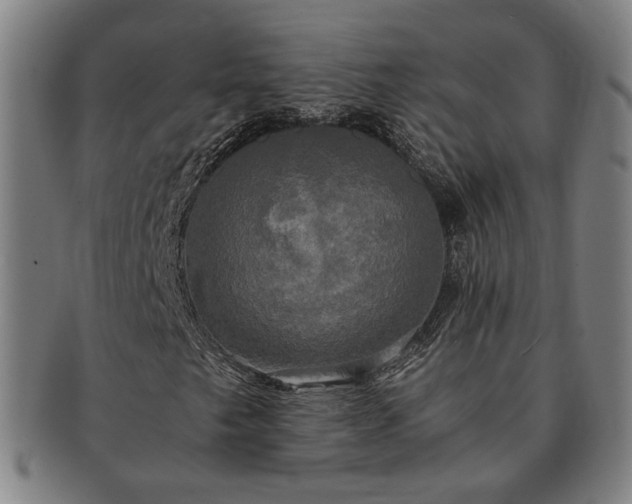 X0000091481249200708231353