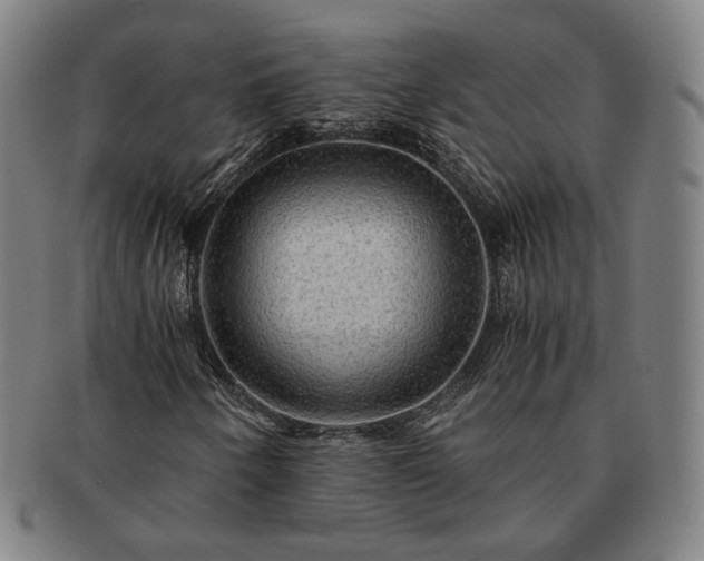 X0000091481250200708231353