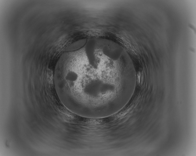 X0000091481251200708231353