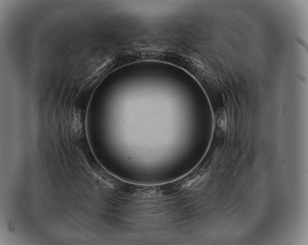 X0000091481252200708231353