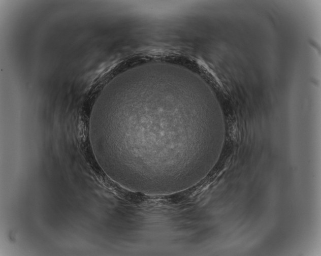 X0000091481253200708231353