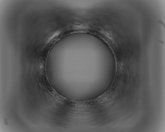 X0000091481254200708231353