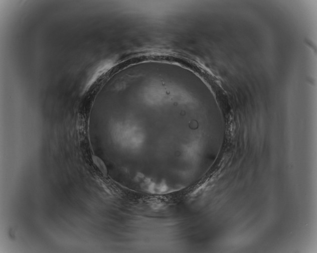 X0000091481255200708231353