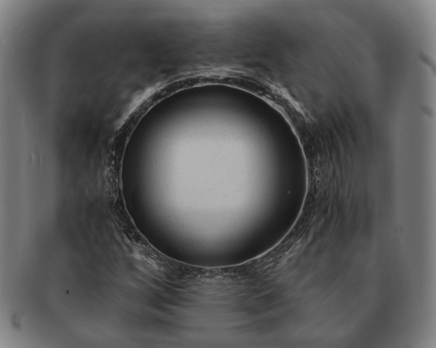 X0000091481256200708231353