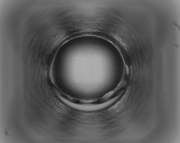 X0000091481257200708231353