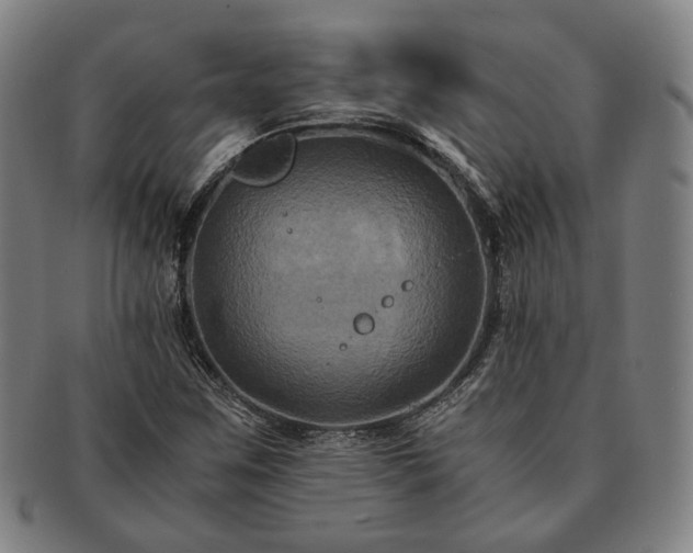 X0000091481259200708231352