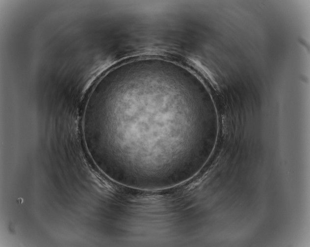 X0000091481260200708231352