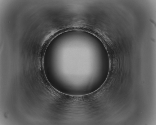 X0000091481262200708231352