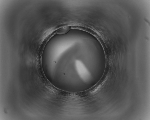 X0000091481263200708231352