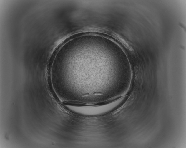 X0000091481264200708231352