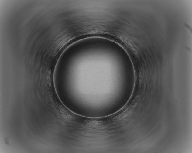 X0000091481265200708231352