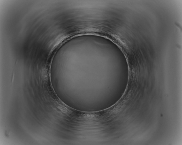 X0000091481266200708231352