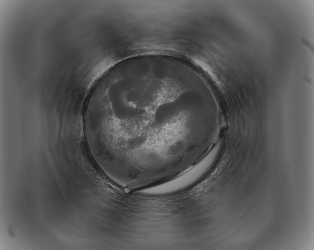 X0000091481267200708231352