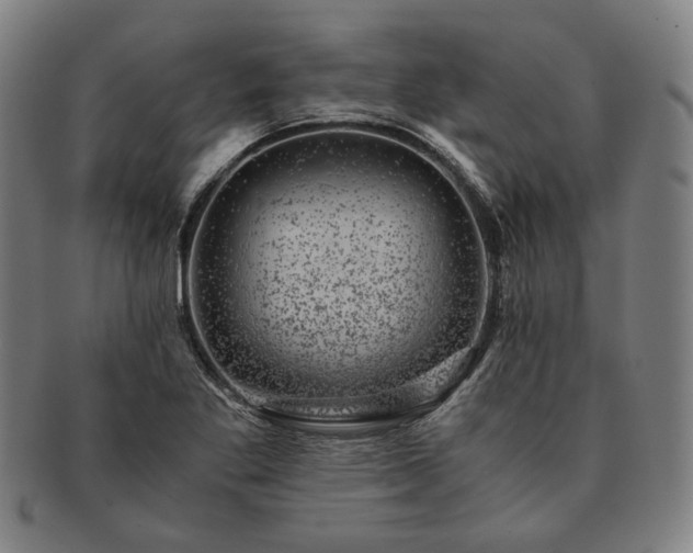 X0000091481269200708231352