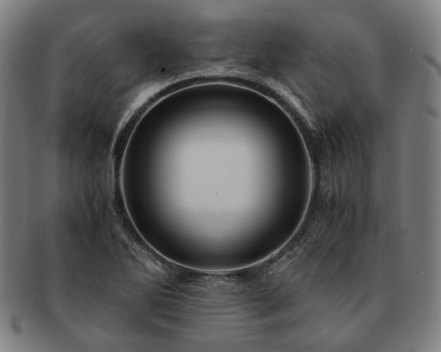 X0000091481270200708231352