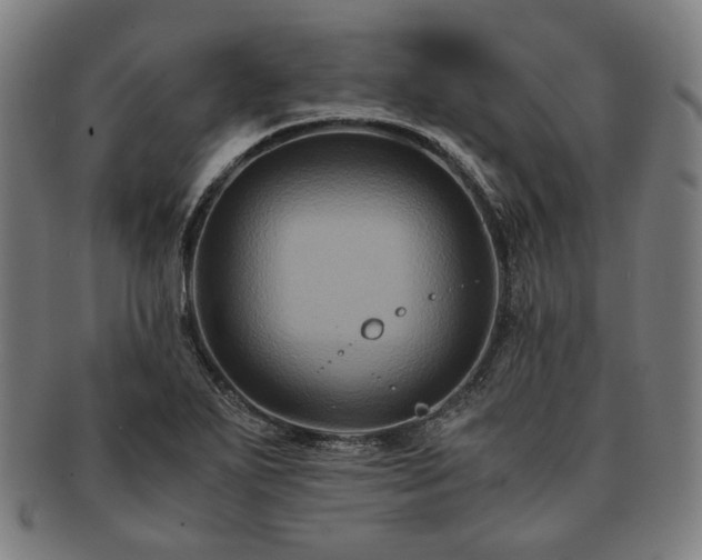 X0000091481271200708231352