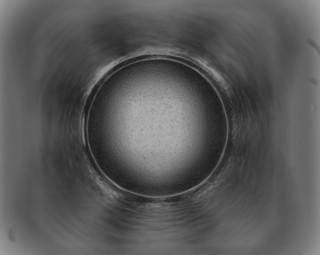 X0000091481272200708231352