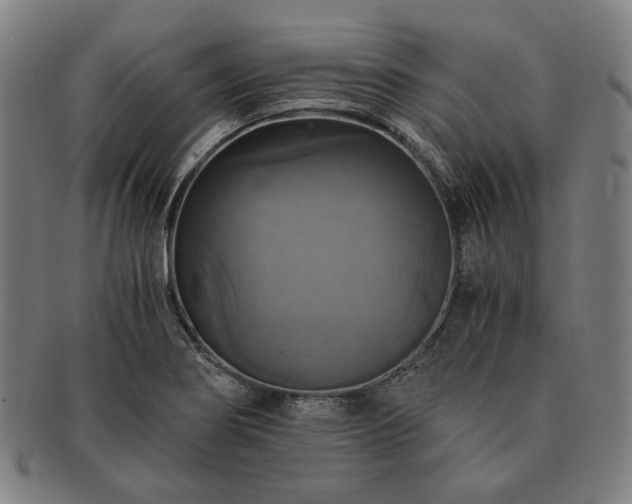 X0000091481274200708231352