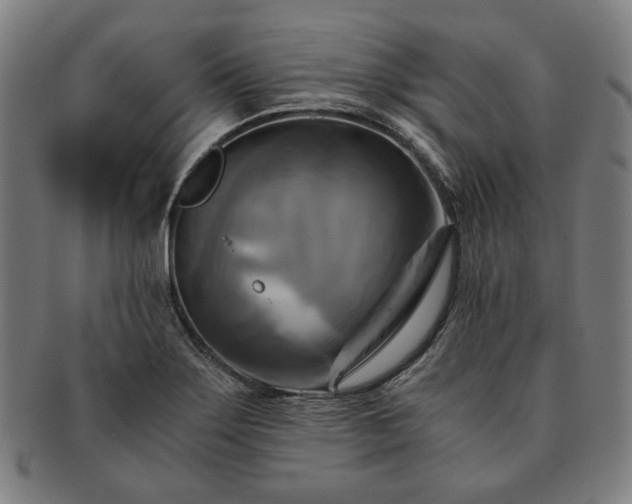 X0000091481275200708231352