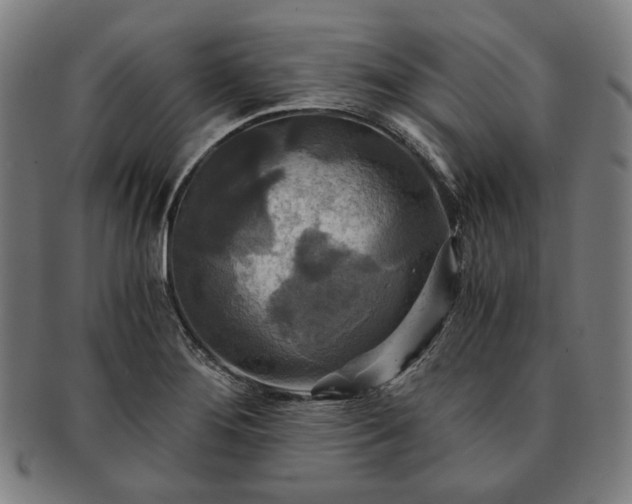 X0000091481276200708231352