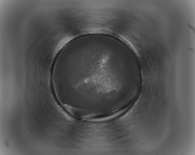 X0000091481277200708231352